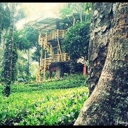 Jungle Jive Treehouse And Farm House Munnar Zewnętrze zdjęcie
