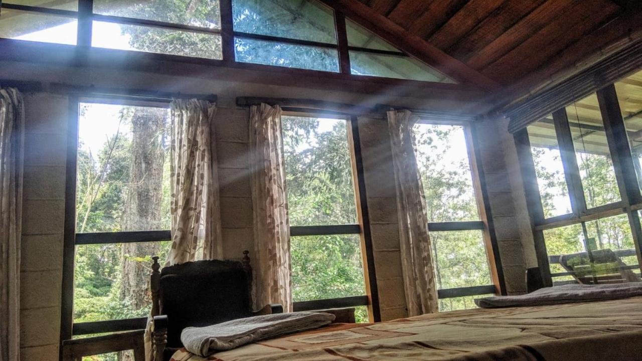 Jungle Jive Treehouse And Farm House Munnar Zewnętrze zdjęcie