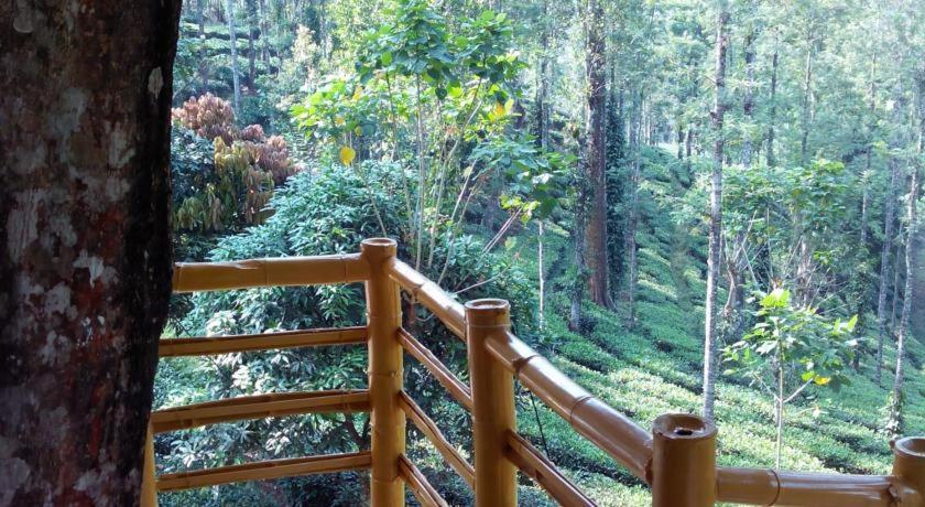 Jungle Jive Treehouse And Farm House Munnar Zewnętrze zdjęcie