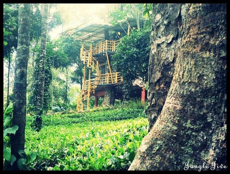 Jungle Jive Treehouse And Farm House Munnar Zewnętrze zdjęcie