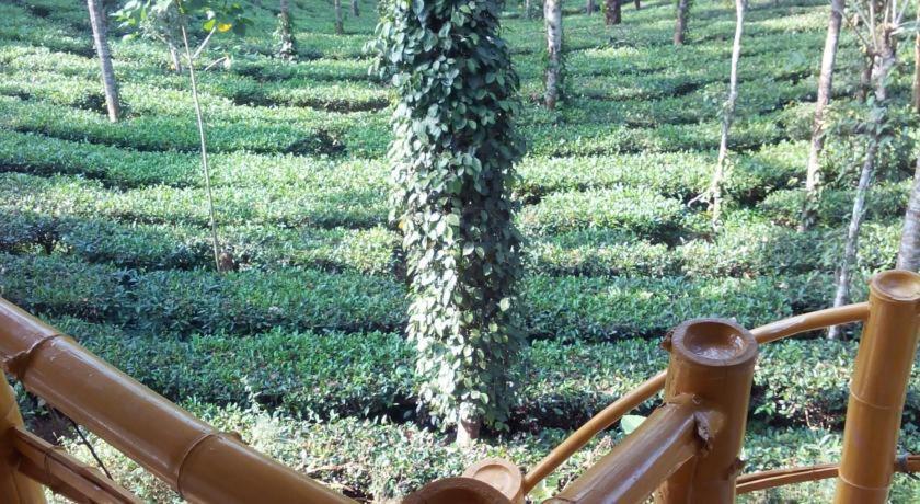 Jungle Jive Treehouse And Farm House Munnar Zewnętrze zdjęcie