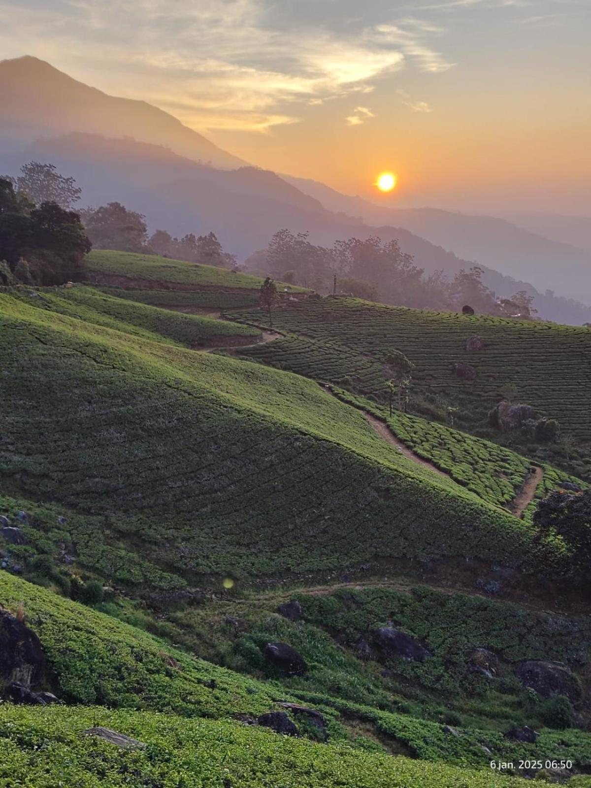 Jungle Jive Treehouse And Farm House Munnar Zewnętrze zdjęcie