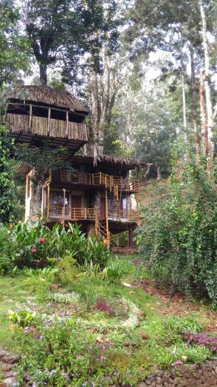 Jungle Jive Treehouse And Farm House Munnar Zewnętrze zdjęcie