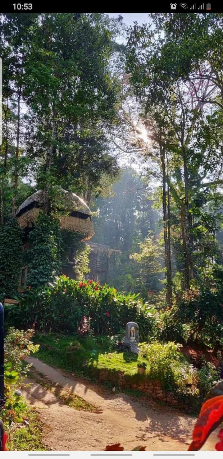 Jungle Jive Treehouse And Farm House Munnar Zewnętrze zdjęcie