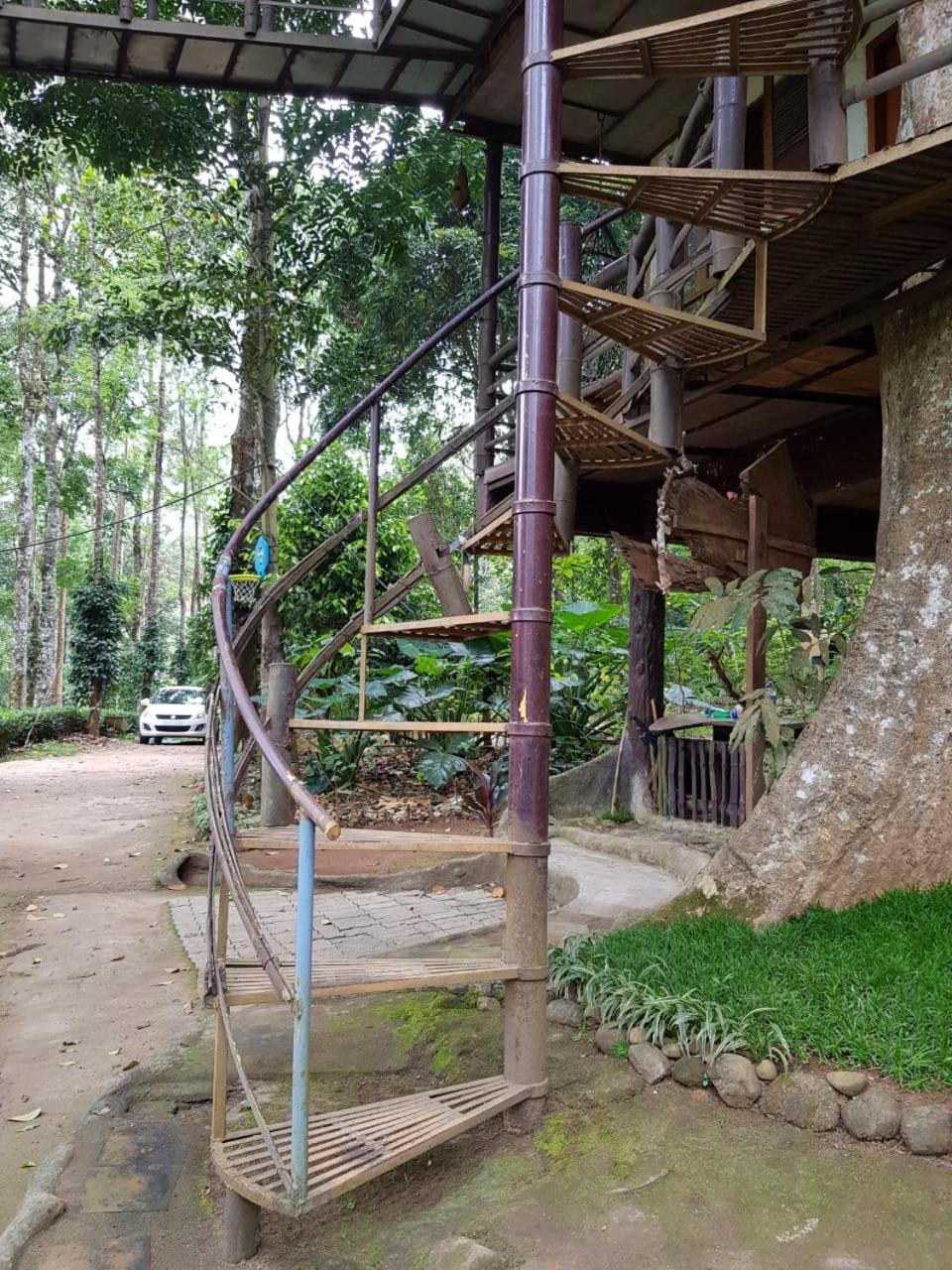 Jungle Jive Treehouse And Farm House Munnar Zewnętrze zdjęcie