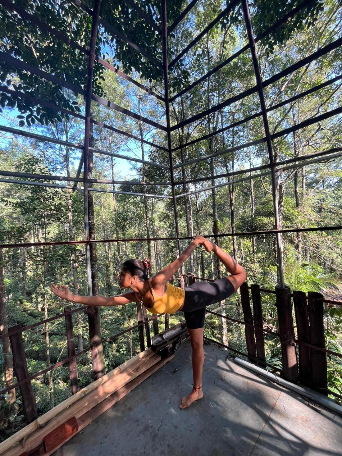 Jungle Jive Treehouse And Farm House Munnar Zewnętrze zdjęcie